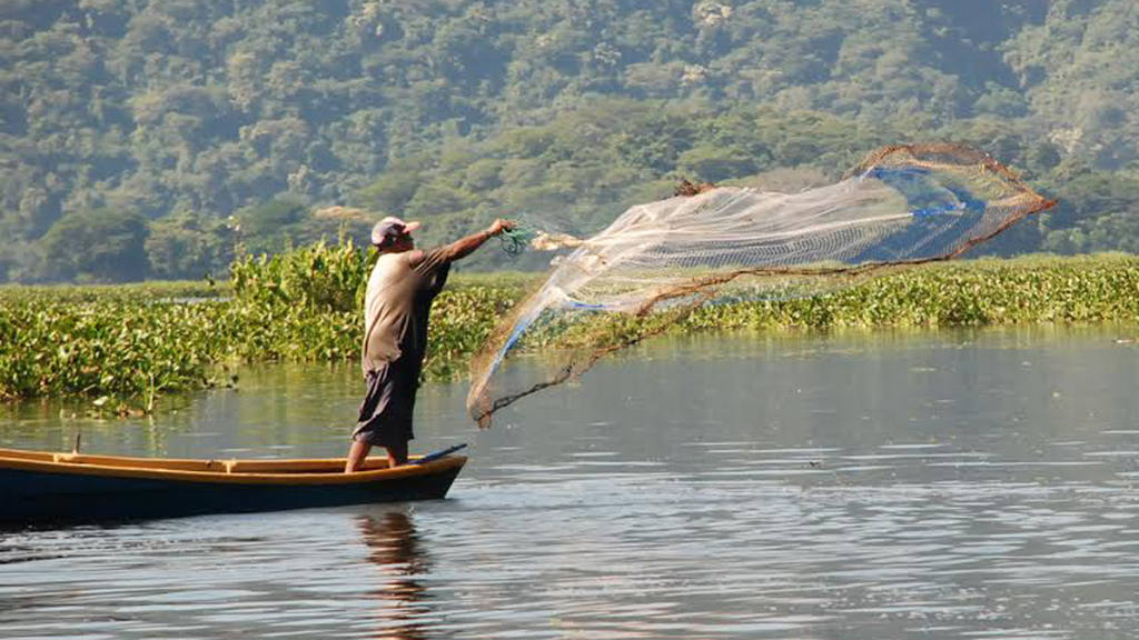 Pescadores artesanales afectados por ETA recibirán subsidio especial de $100 por parte del Gobierno pescadores-artesanales-afectados-por-eta-recibiran-subsidio-especial-de-100-por-parte-del-gobierno